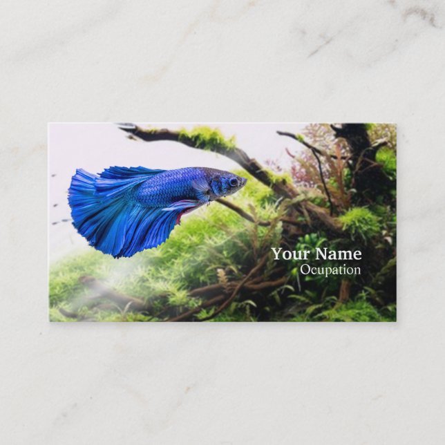 Betta Fish Business Card (Front)