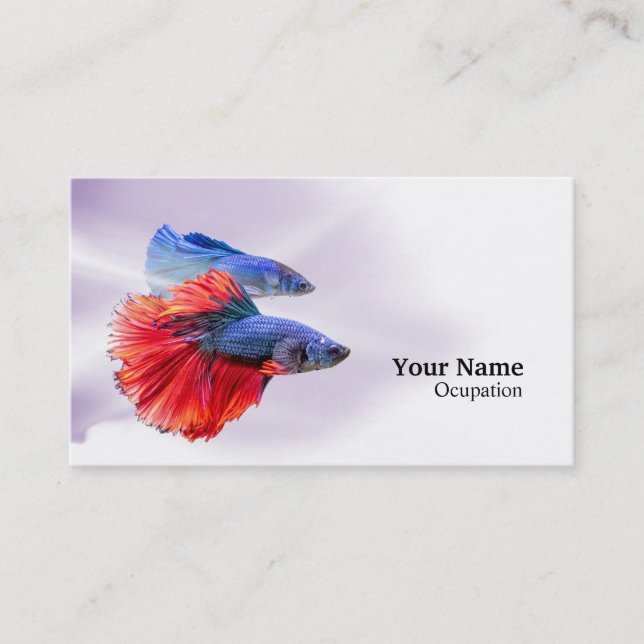 Betta Fish Business Card (Front)