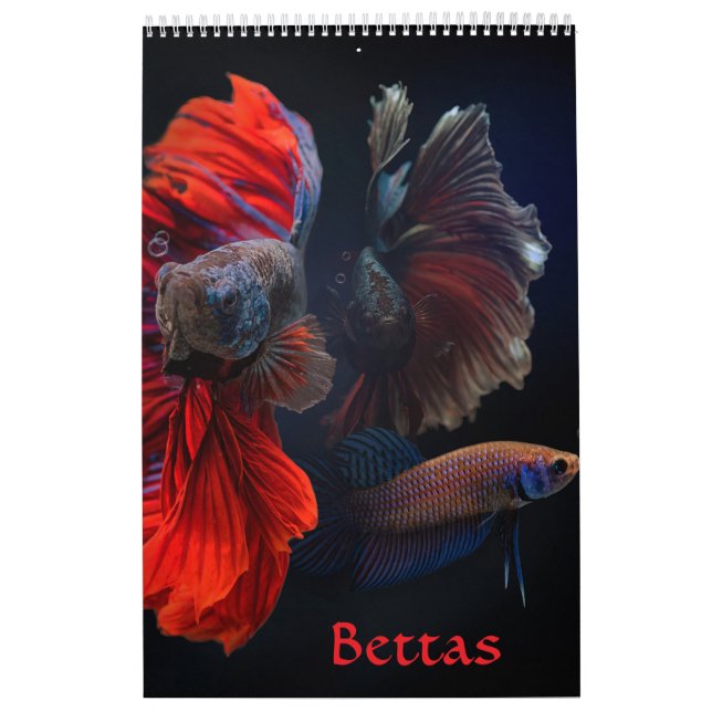 Betta fish Calendar (Cover)