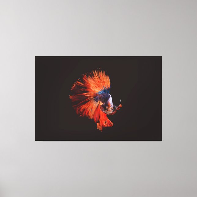 Betta Fish Canvas Print (Front)