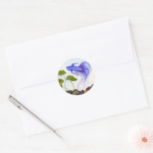 Betta Fish Classic Round Sticker