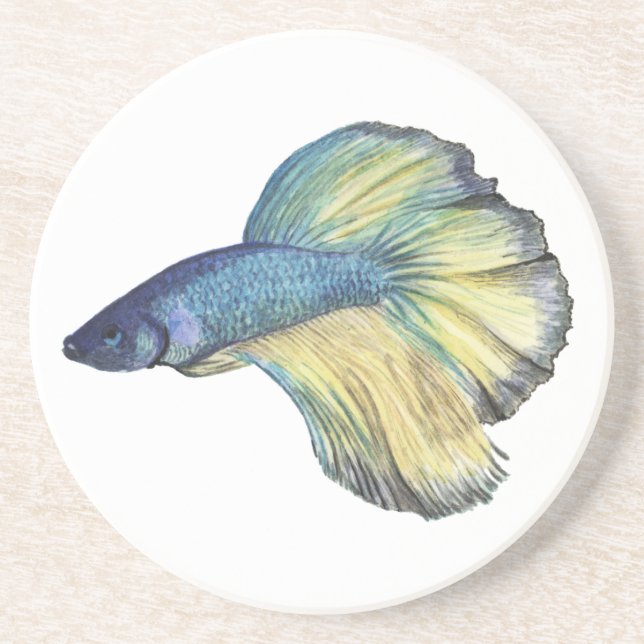 Betta Fish Coaster (Front)