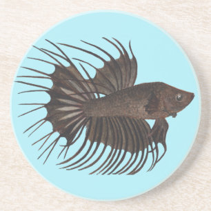 Betta Fish Coaster