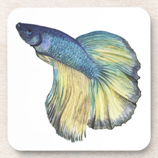 Betta Fish Coaster (Front)