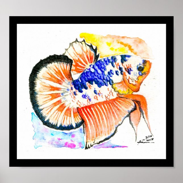 Betta Fish Fancy Candy Watercolor Art Poster (Front)