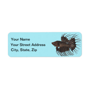 Betta Fish Label