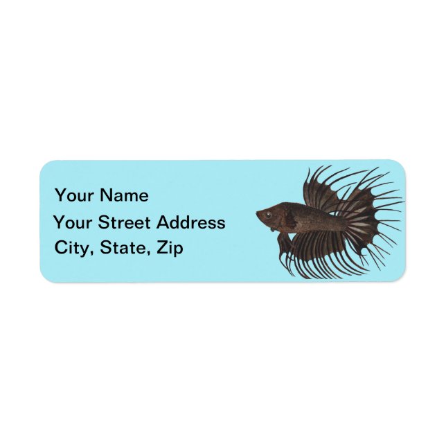 Betta Fish Label (Front)