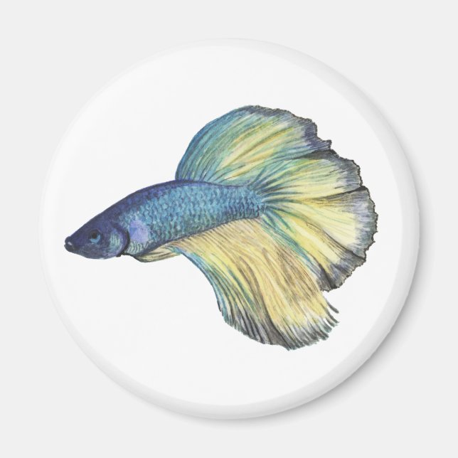 Betta Fish Magnet (Front)