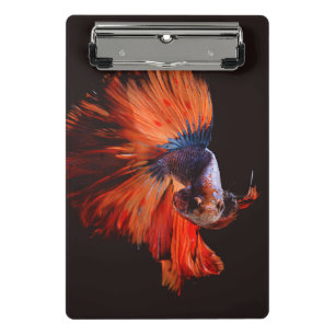 Betta Fish Mini Clipboard
