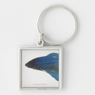 Betta Fish or Male Blue Siamese Fighting Fish Key Ring