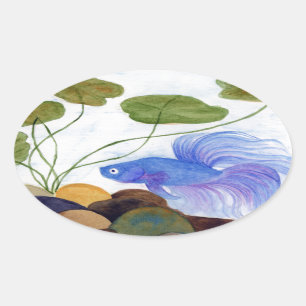 Betta Fish Oval Sticker
