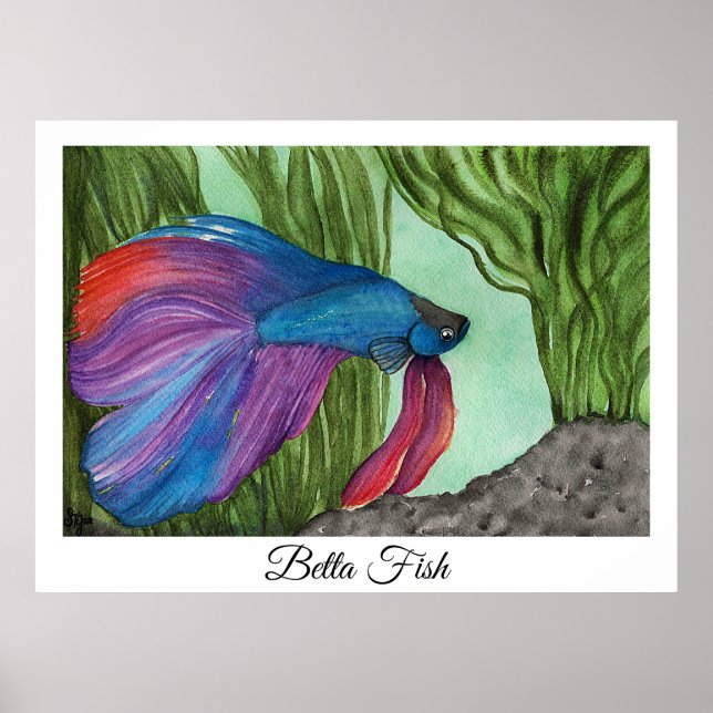 Betta Fish Poster (Front)