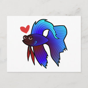 Betta Fish / Siamese Fighting Fish Love Postcard