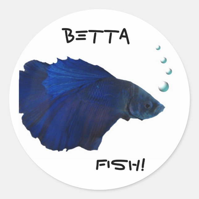 Betta Fish Sticker (Front)