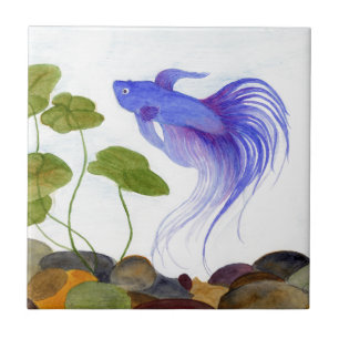 Betta Fish Tile