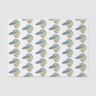 Betta Fish Tissue Paper