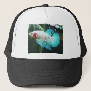 Fish Logo Hat -  UK