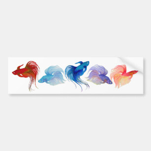 Betta Fishes Bumper Sticker