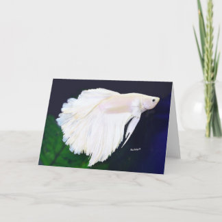 Betta greeting card