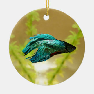 Betta is Better Original Ceramic Tree Decoration