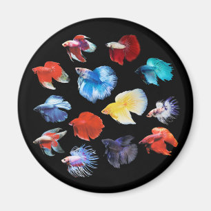 Betta Magnet