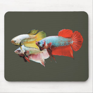 Betta Mouse Mat