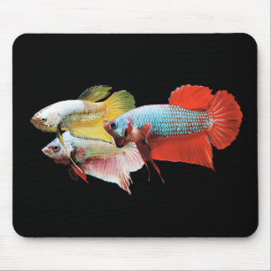 Betta Mouse Mat