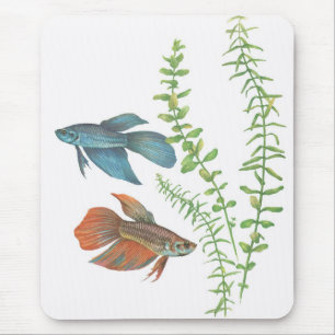 Betta splendens and Rotala indica White Mouse Mat