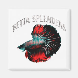 Betta splendens magnet