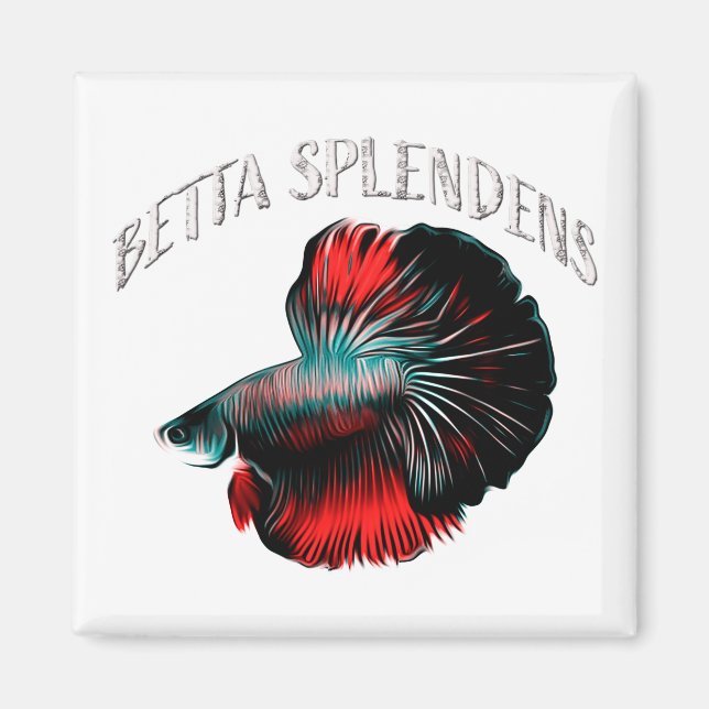 Betta splendens magnet (Front)