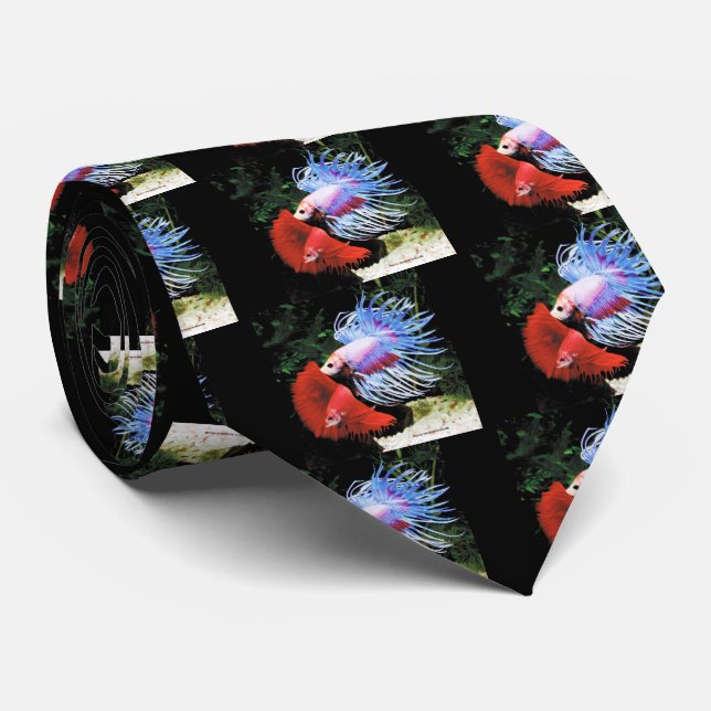 Betta splendens tie (Rolled)