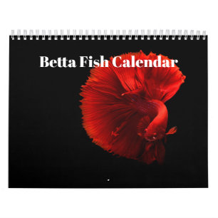 Bettafish 2025 calendar