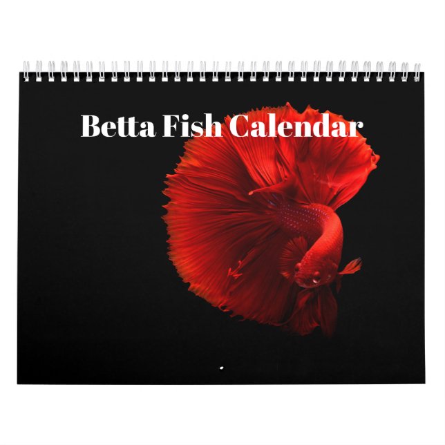 Bettafish 2026 calendar (Cover)