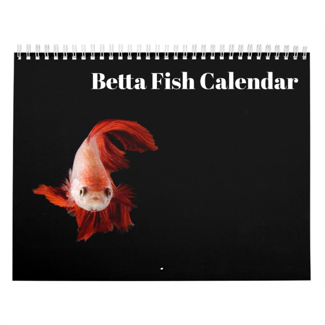 Bettafish 2026 calendar (Cover)
