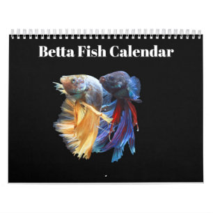 Bettafish 2026 calendar