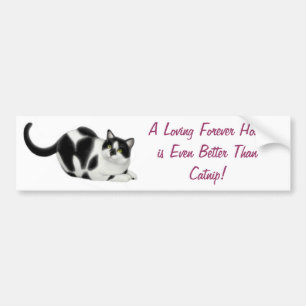 Better Than Catnip Bumper Sticker