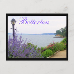 Betterton, MD Summer Flowers Postcard