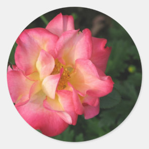 Betty Boop - 24 May 2009 139 Classic Round Sticker