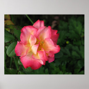 Betty Boop - 24 May 2009 139 Poster