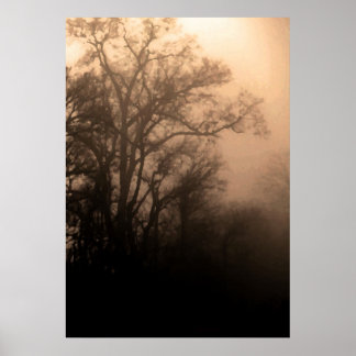 Between dark and light poster