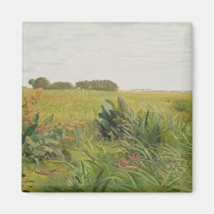 Between Geest and Marsh, c.1880 Magnet