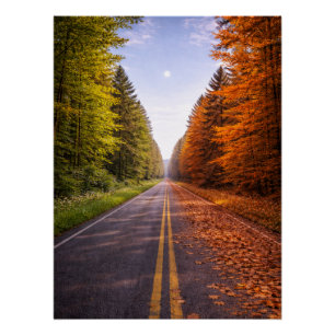 Between Seasons – The Road of Choice Poster