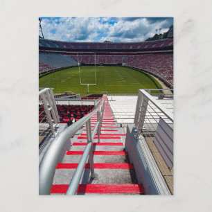 Between the Hedges   Postcard