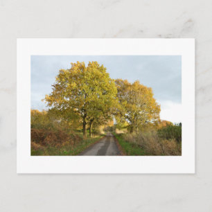Between the Oaks: Rural Cheshire Postcard