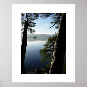 Between the Pines - Derwentwater Poster