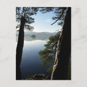 Between the Pines in Keswick Postcard