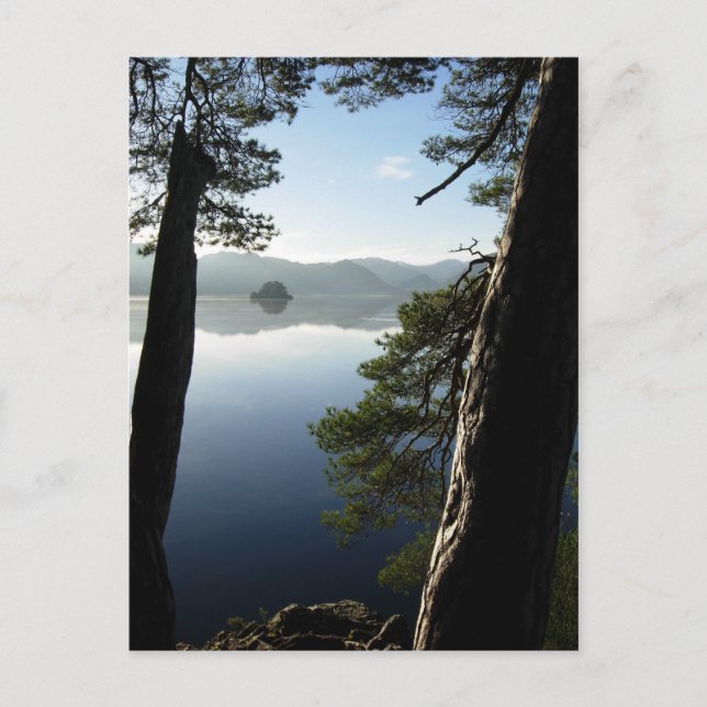 Between the Pines in Keswick Postcard (Front)