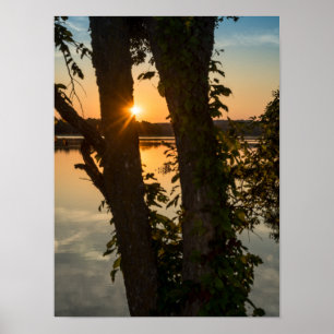 Between The Trees Sunrise Poster