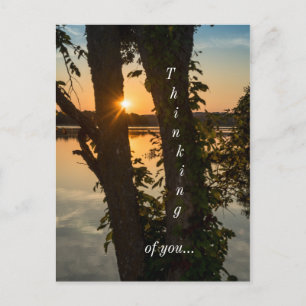 Between The Trees Sunrise Thinking Of You Postcard
