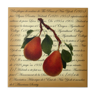Beurré Clairgeau Pear ~ Ulysses Prentiss Hedrick ~ Tile
